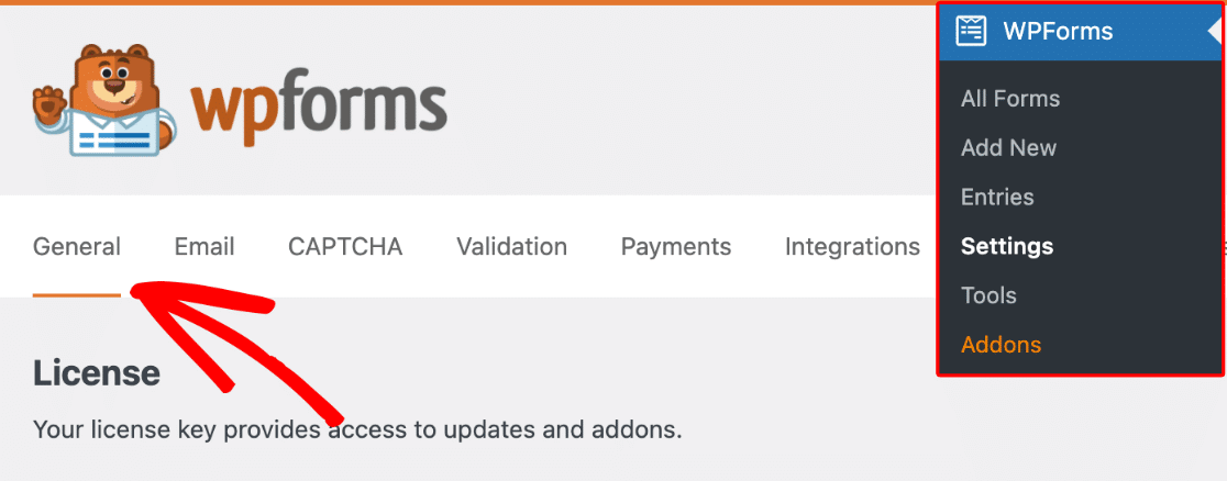 WPForms General Settings WPForms 设置页面
