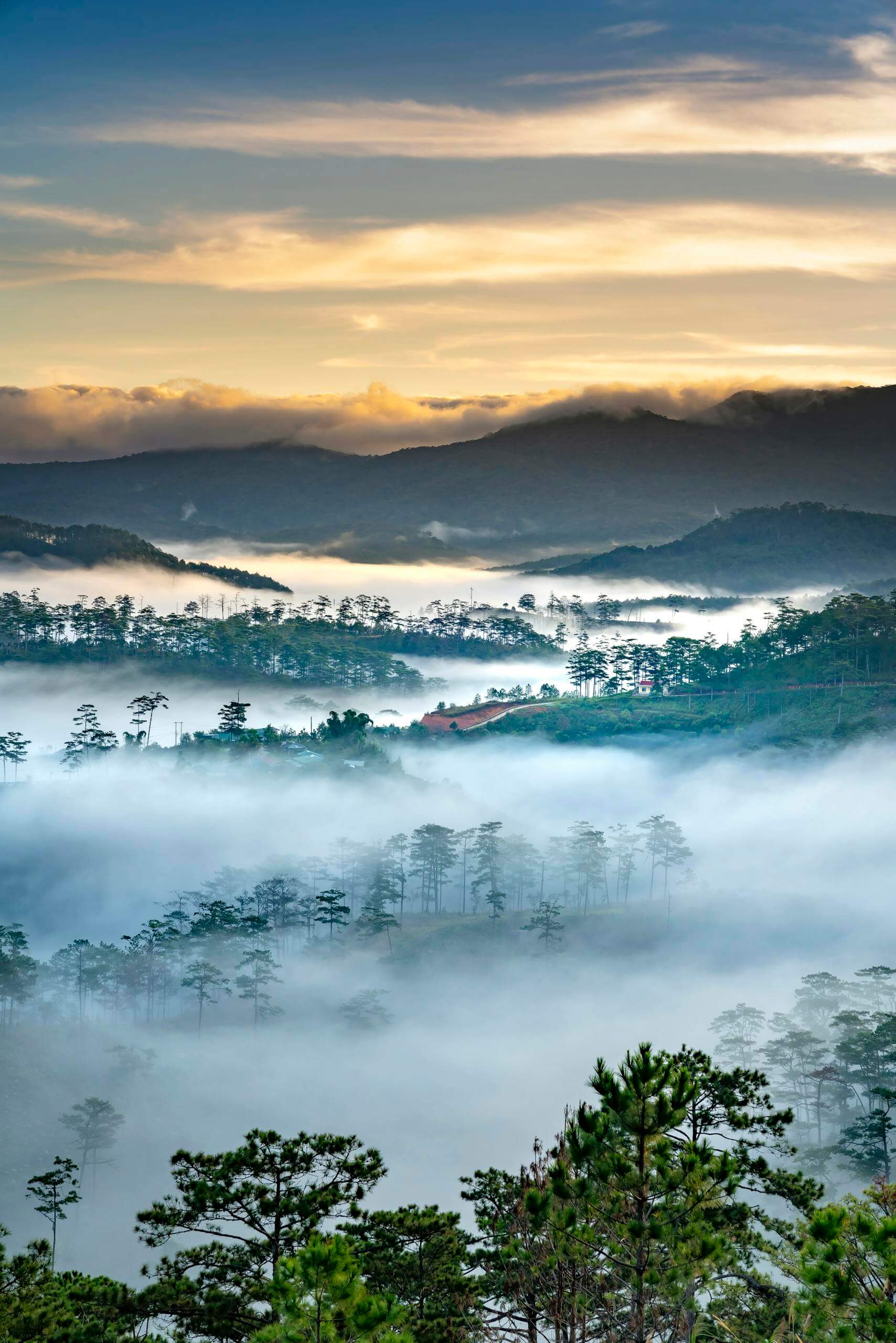 A breathtaking view of fog-covered mountains at sunrise, with mystical mist and vibrant trees.
