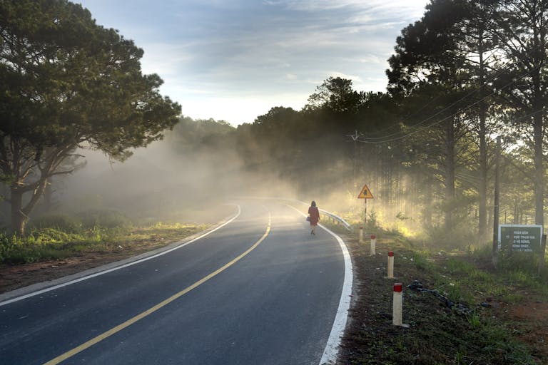 A solitary figure walks along a foggy road winding through a forest at dawn.