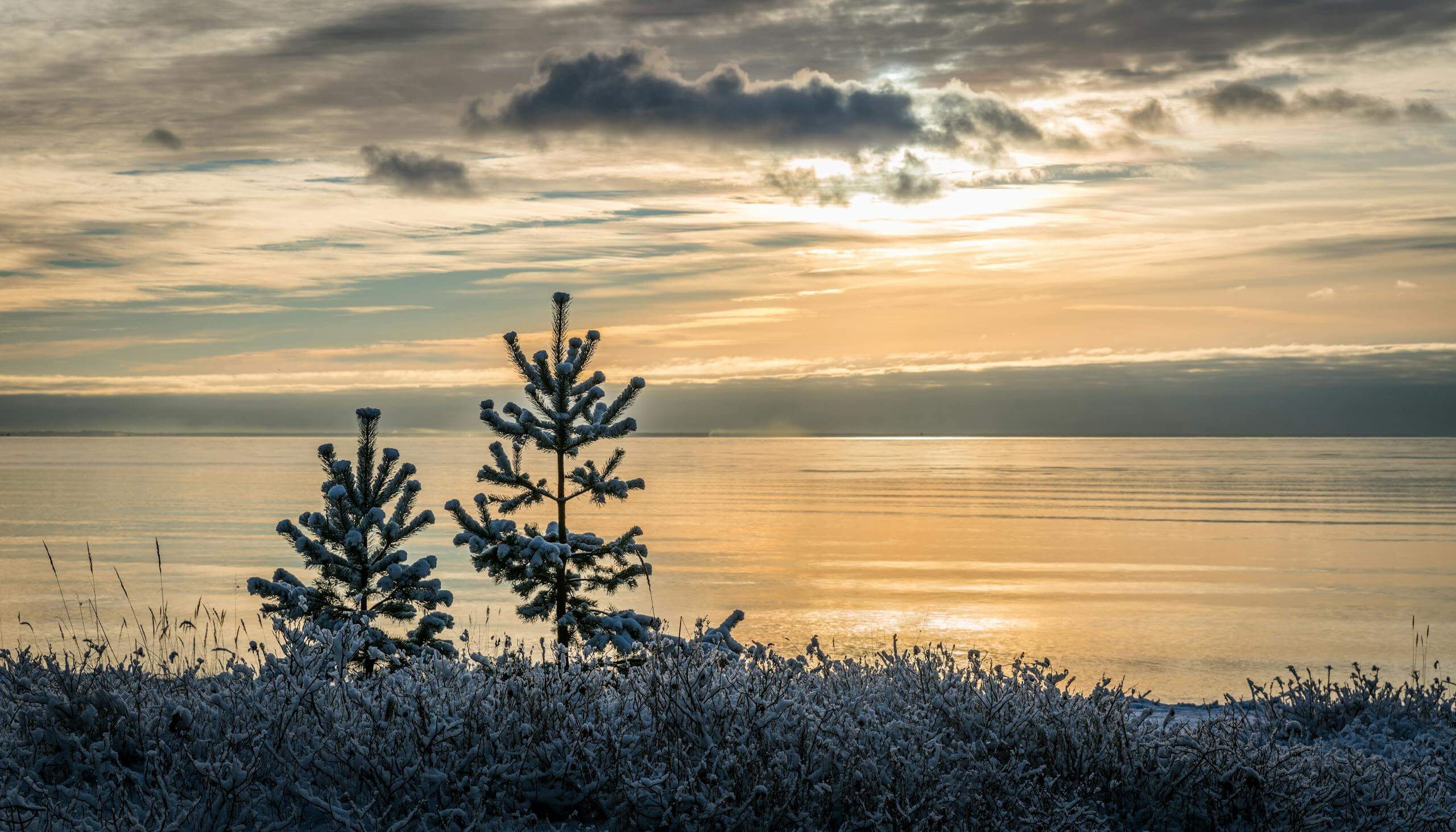 A tranquil winter sunset over a calm sea with snow-covered trees on the shoreline, highlighting the peaceful contrast of nature.