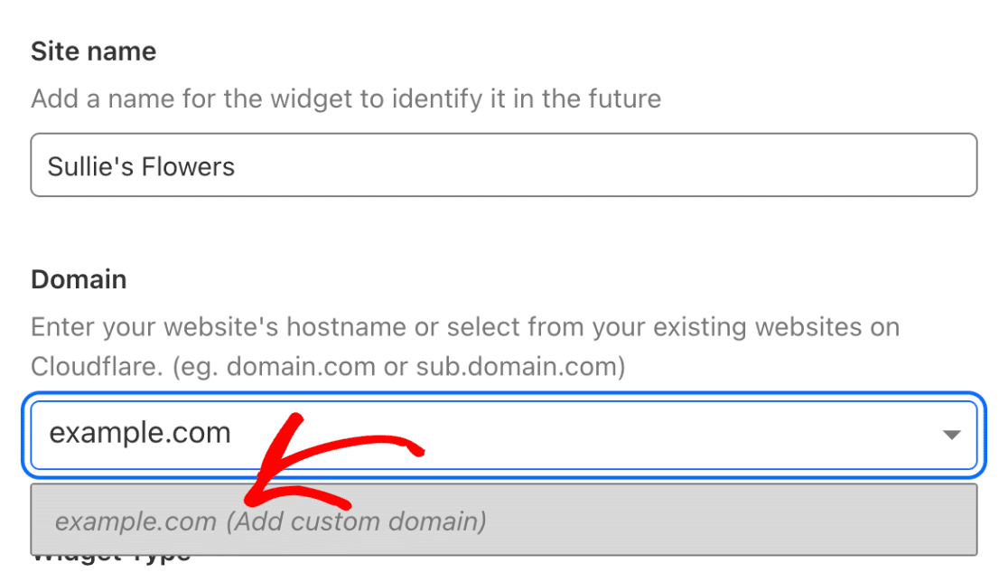 Enter Website Domain 输入网站域