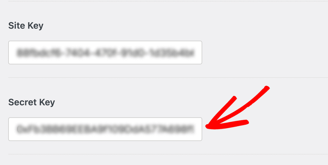 hCaptcha secret key hCaptcha secret key