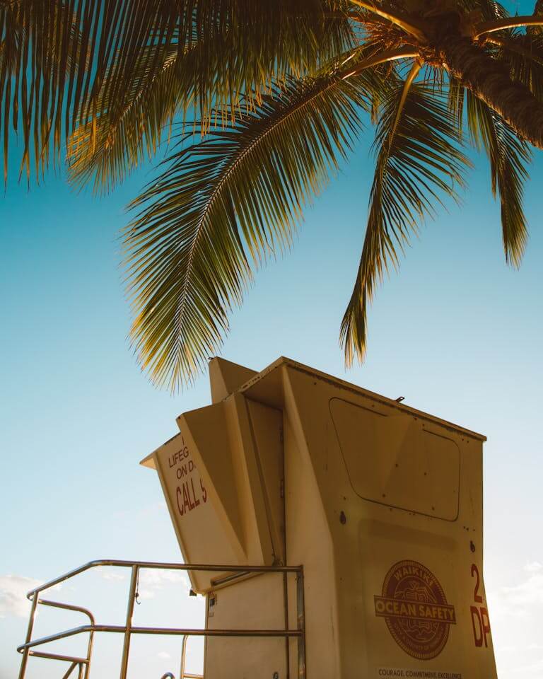 Tropical lifeguard tower with palm leaves under clear blue sky during summer.