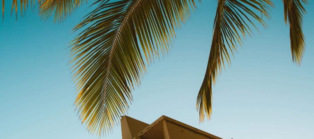 Tropical lifeguard tower with palm leaves under clear blue sky during summer.