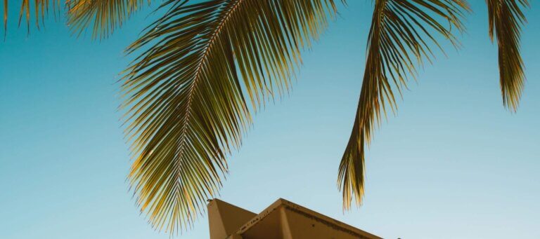 Tropical lifeguard tower with palm leaves under clear blue sky during summer.