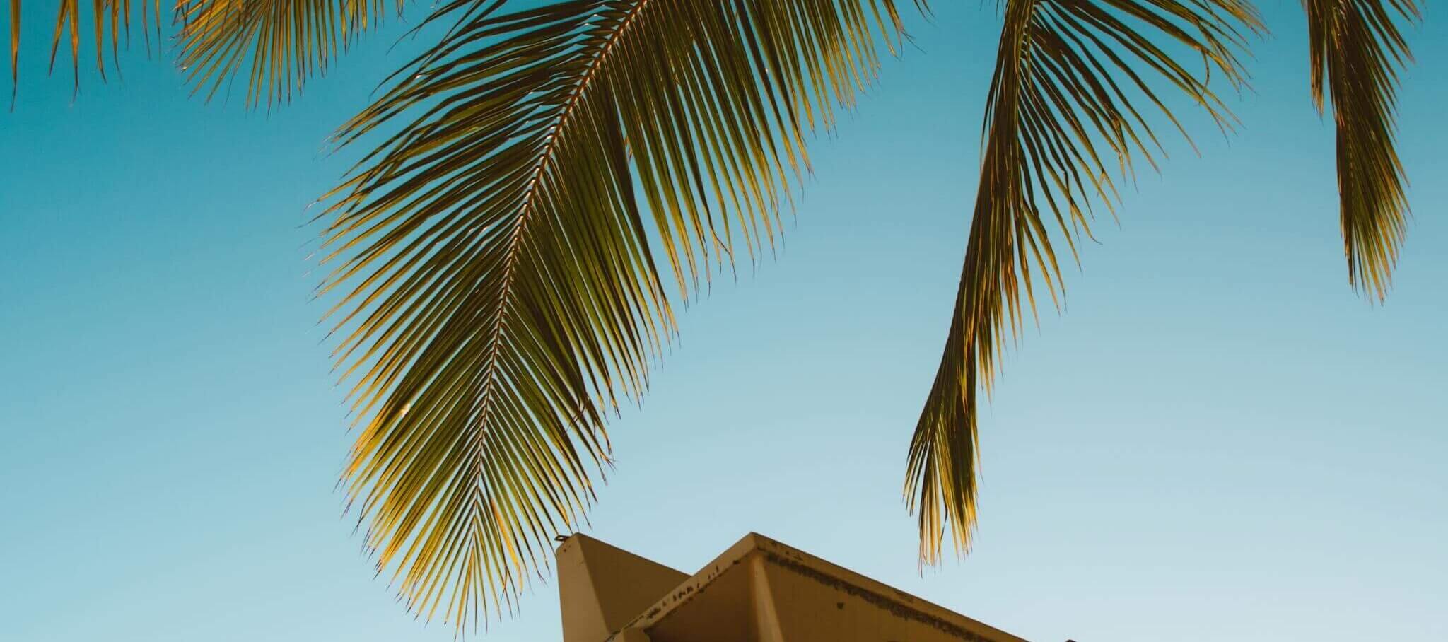 Tropical lifeguard tower with palm leaves under clear blue sky during summer.